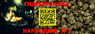 jwh Камышлов