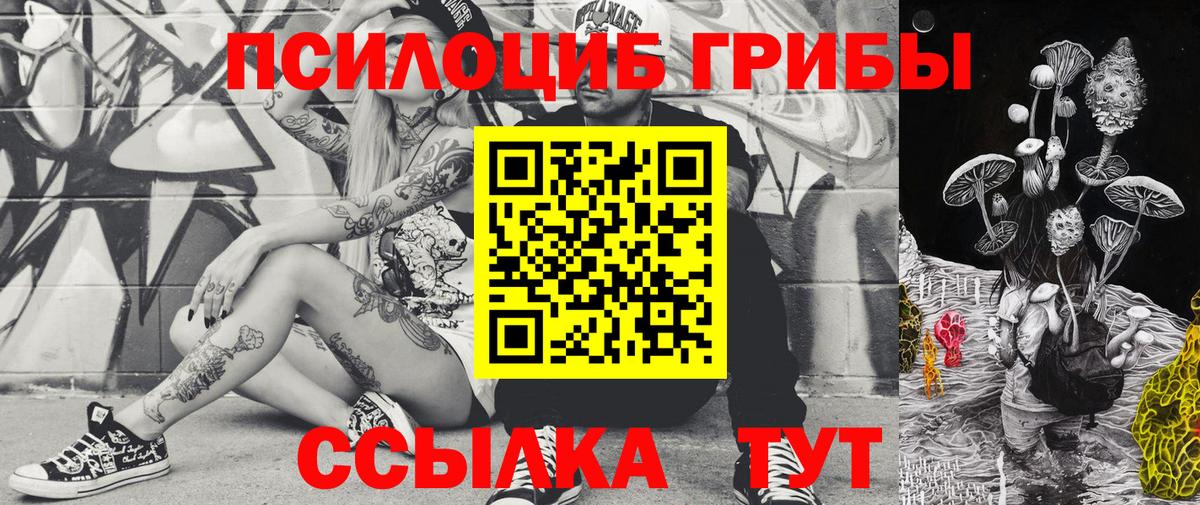 даркнет сайт  Вход с VPN  Курчалой  Псилоцибиновые грибы мухоморы  Галлюциногенные грибы MAGIC MUSHROOMS 