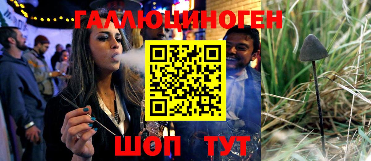 Галлюциногенные грибы MAGIC MUSHROOMS Курчалой