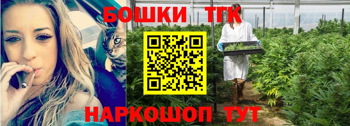 Канабис сатива Курчалой